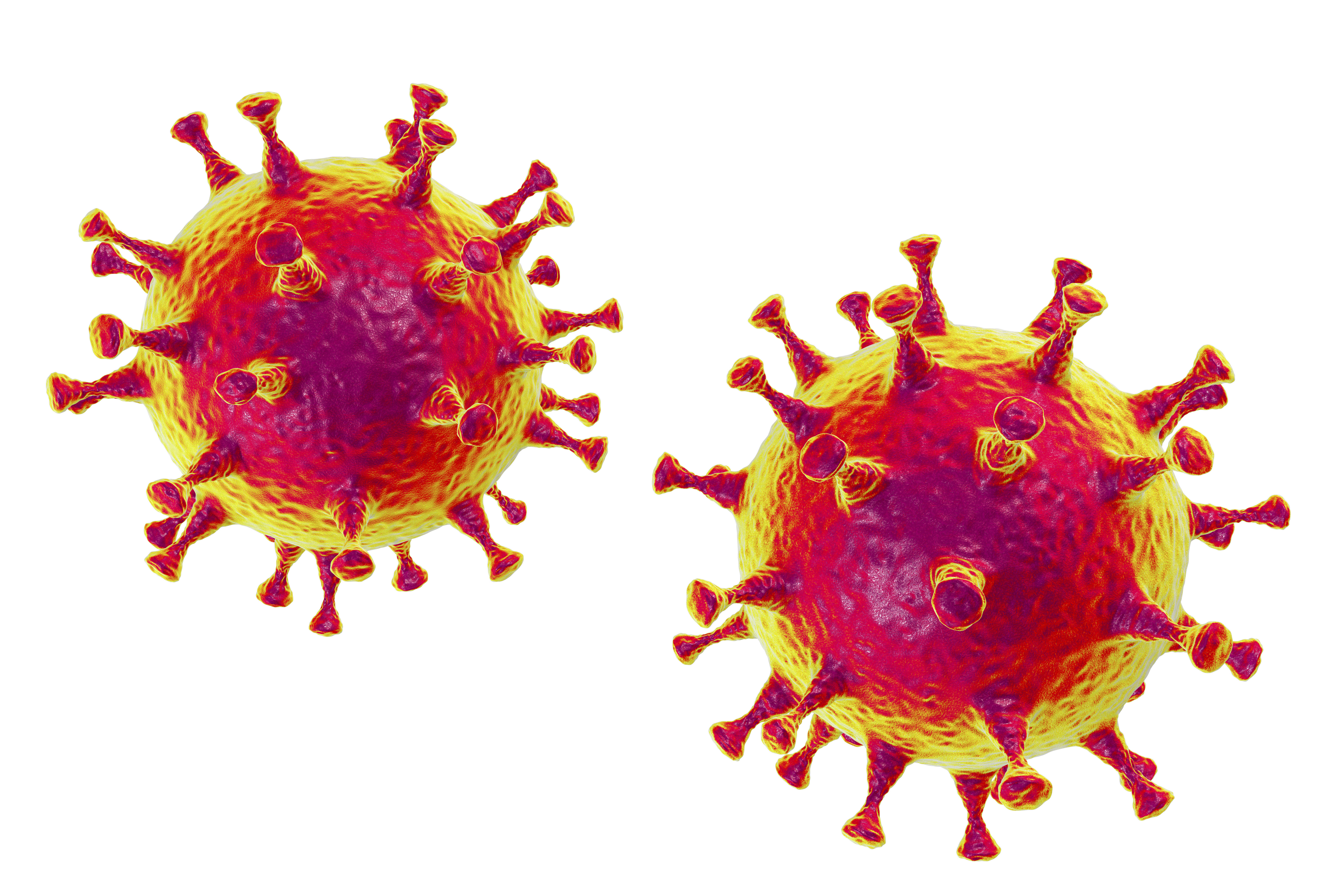 coronavirus covid