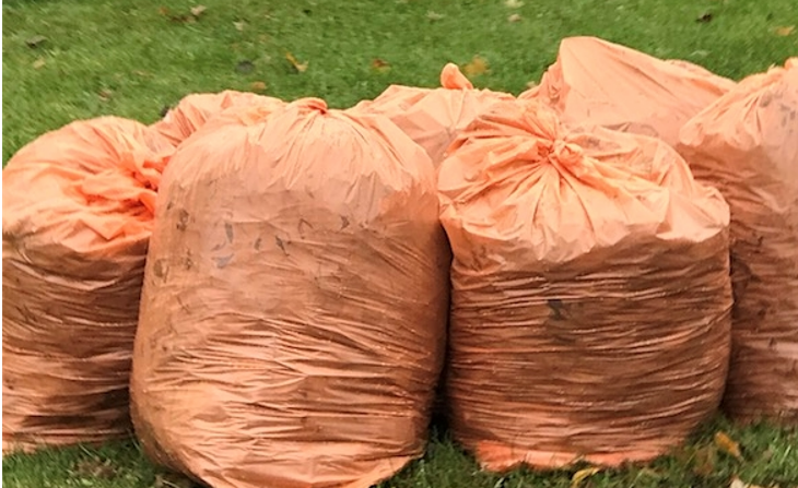 Des sacs de plastique pour collectionner les feuilles.
