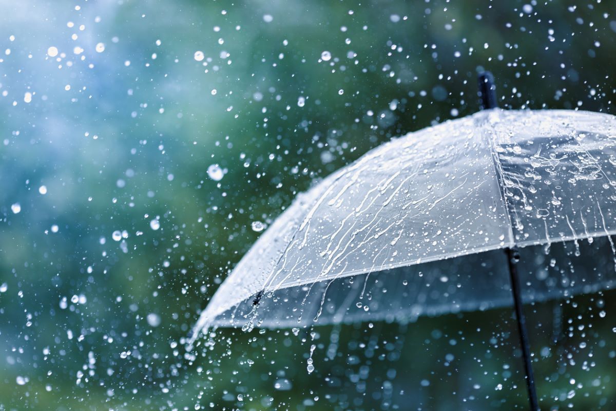 Une forte pluie de printemps tombe